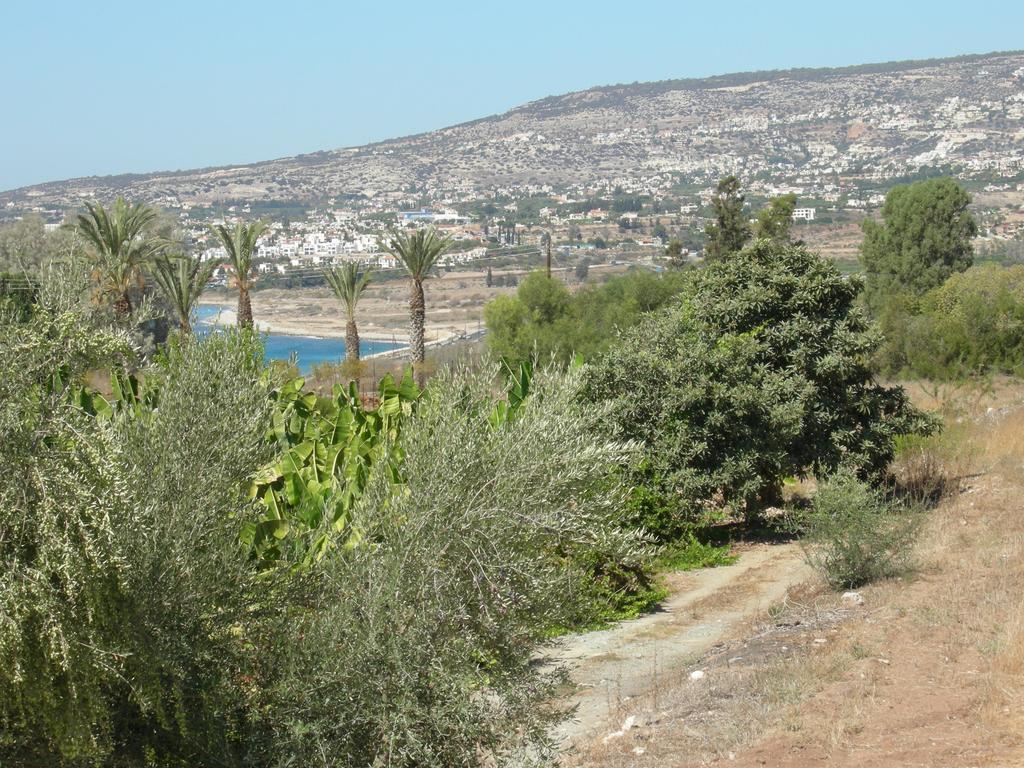 Villa Despoina Paphos Buitenkant foto