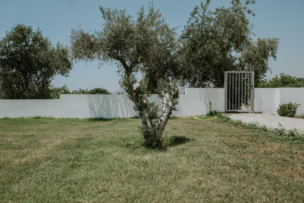 Villa Despoina Paphos Buitenkant foto